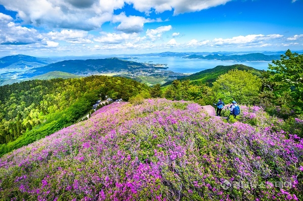 남해군, 2023년 보물섬 망운산 철쭉제·등반대회 개최